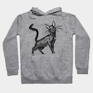 Cat Sketch Hoodie